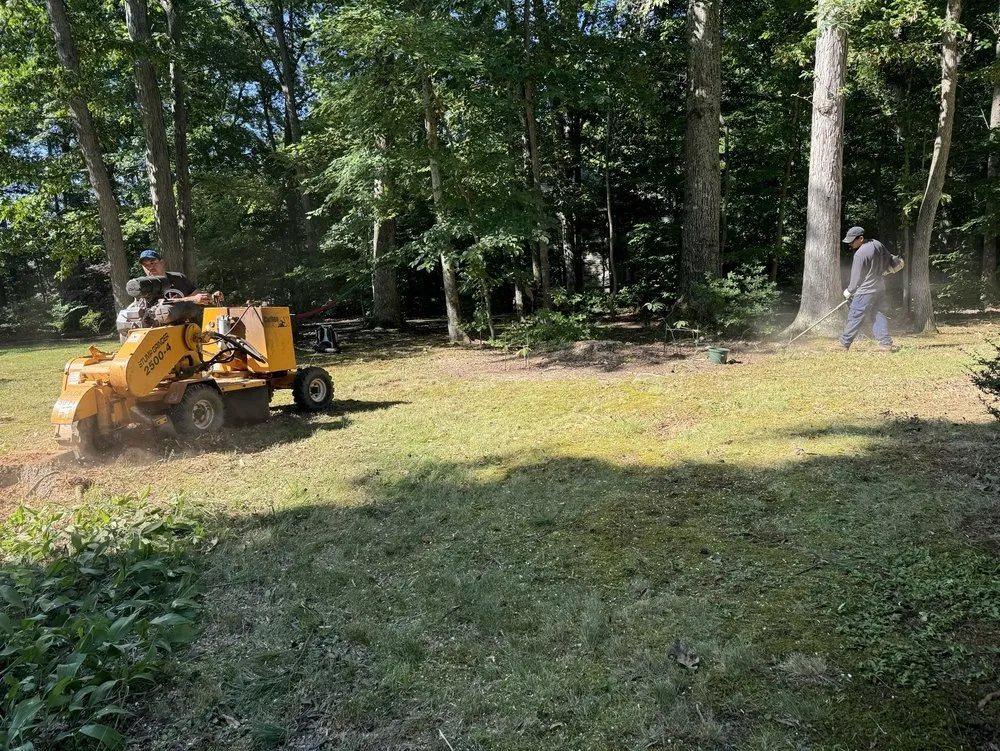 Custom outdoor landscaping in Fairfax, VA by Jc Landscaping