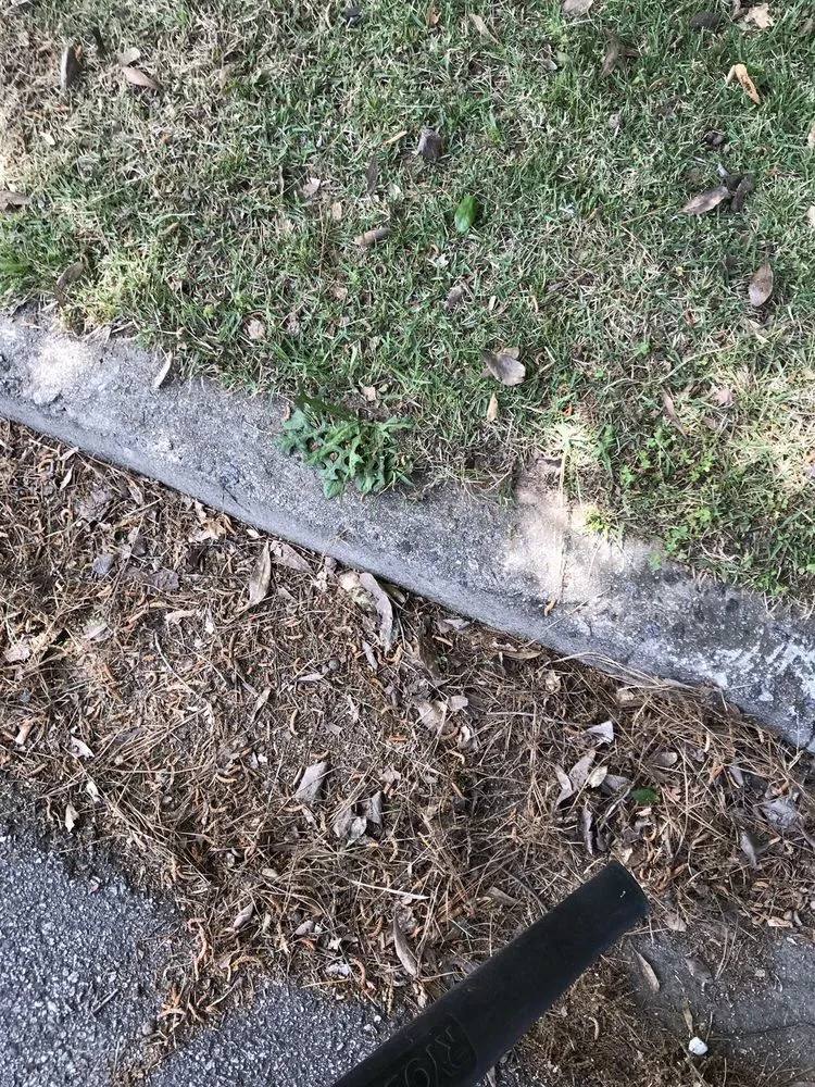 Top-rated landscape installation for outdoor upgrades in Lilburn, GA by JC LANDSCAPING