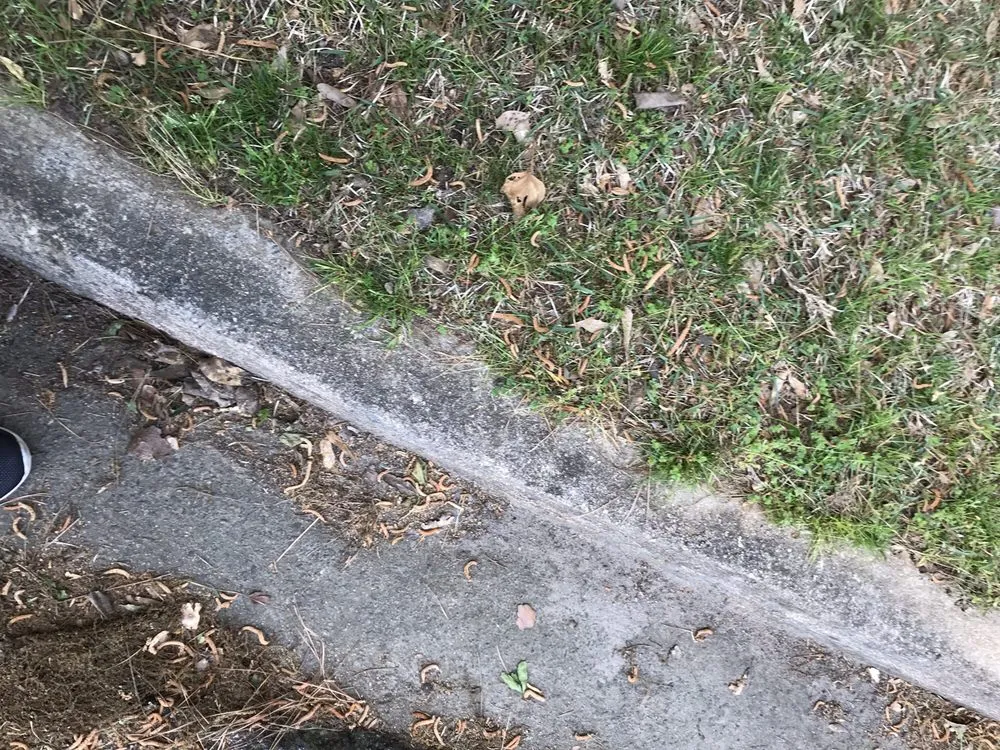 Custom lawn mowing service for beautiful yards in Lilburn, GA by JC LANDSCAPING