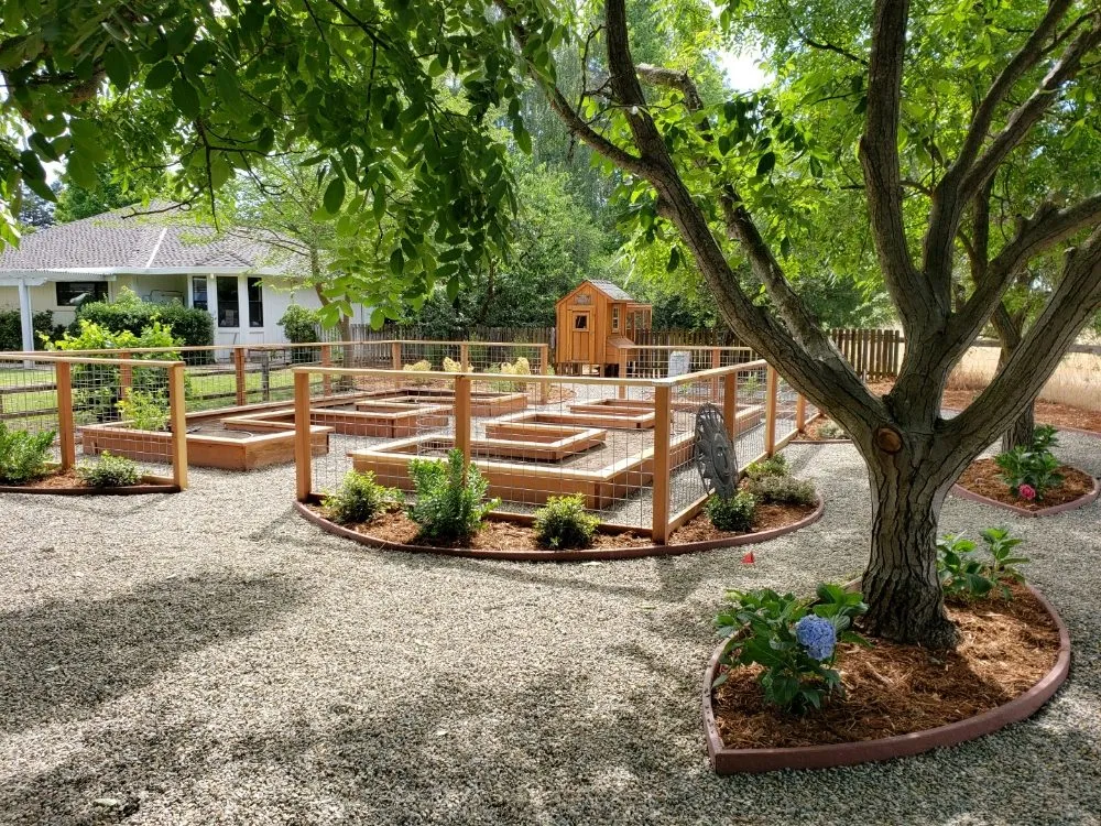 Affordable yard cleanup service in Lodi, CA by J&C Landscaping