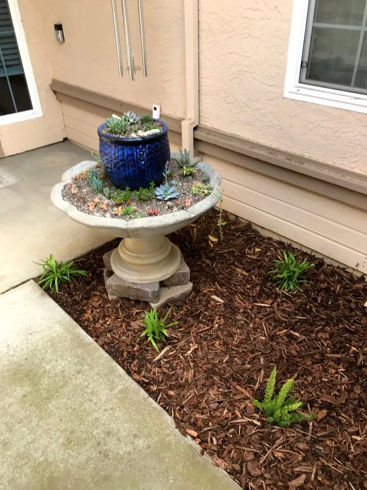 Professional outdoor landscaping in Lodi, CA by J&C Landscaping
