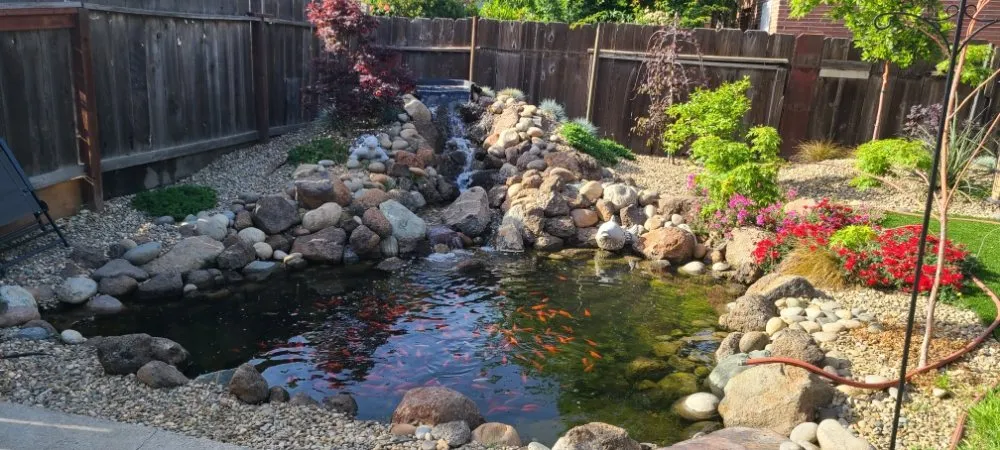 Trusted yard cleanup service in Lodi, CA - J&C Landscaping