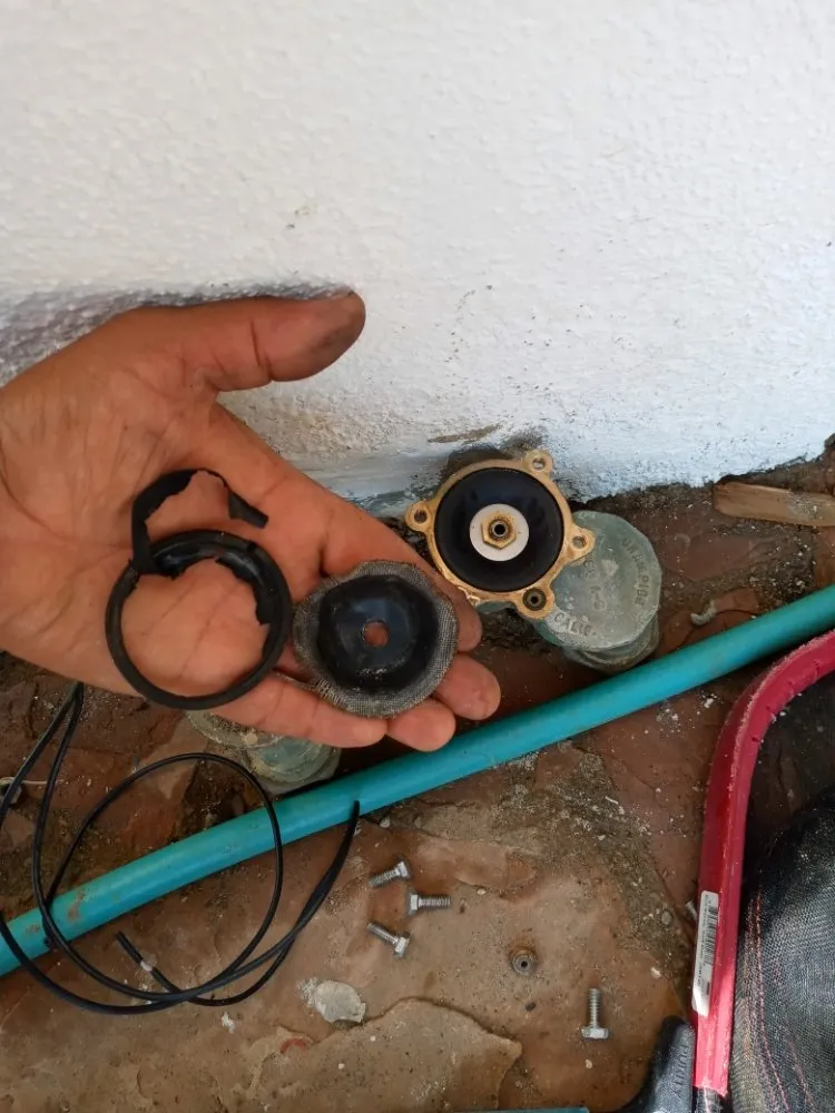 Custom yard cleanup service experts serving Los Angeles, CA - JC Landscaping