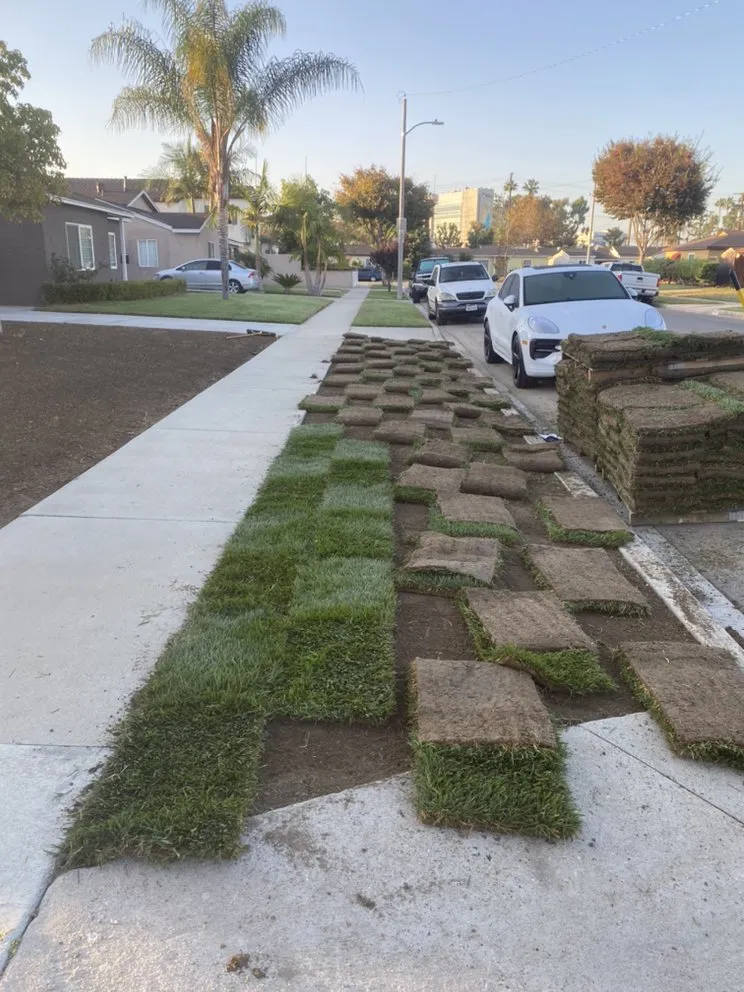 Top-rated landscaping services in Los Angeles, CA by JC Landscaping