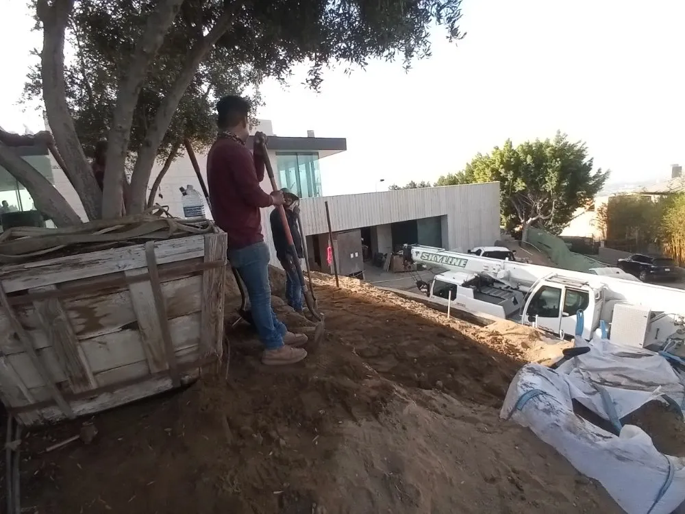 Professional yard cleanup service for homes in Los Angeles, CA by JC Landscaping