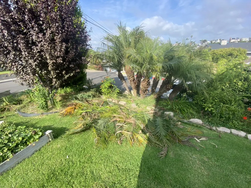 Affordable residential landscaping in Los Angeles, CA - JC Landscaping