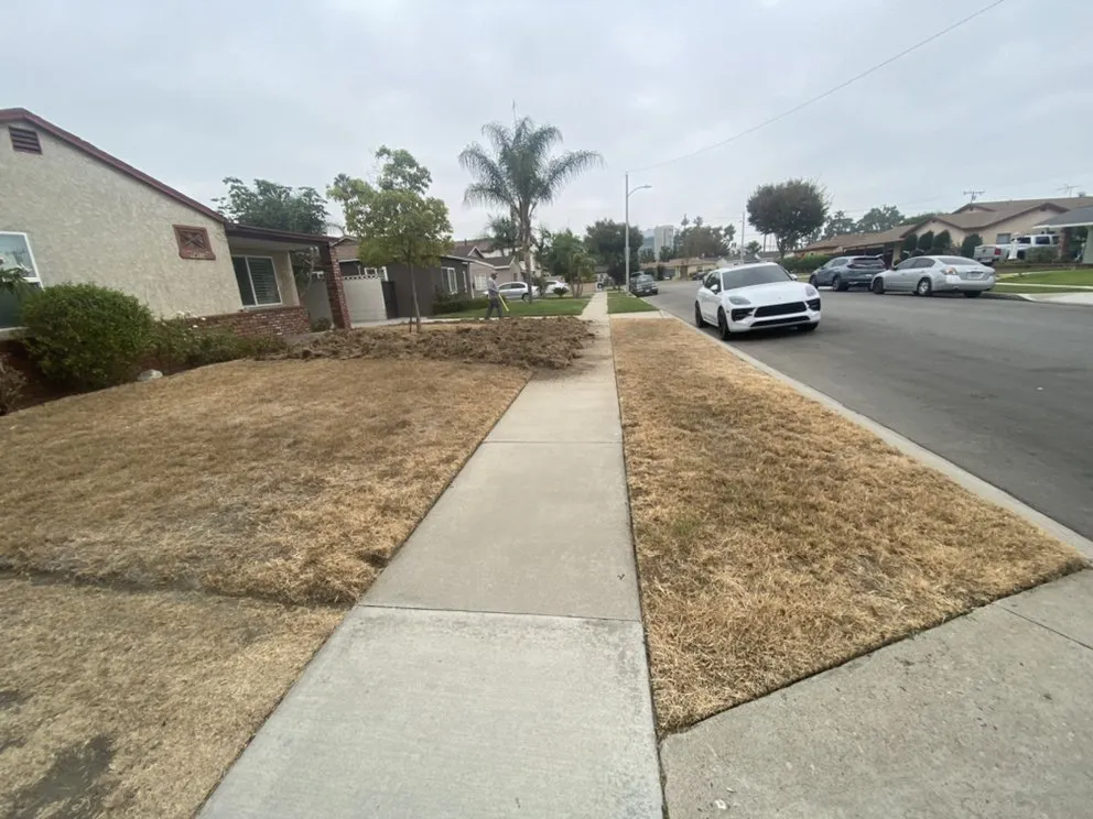 Top-rated yard cleanup service for year-round maintenance across Los Angeles, CA - JC Landscaping