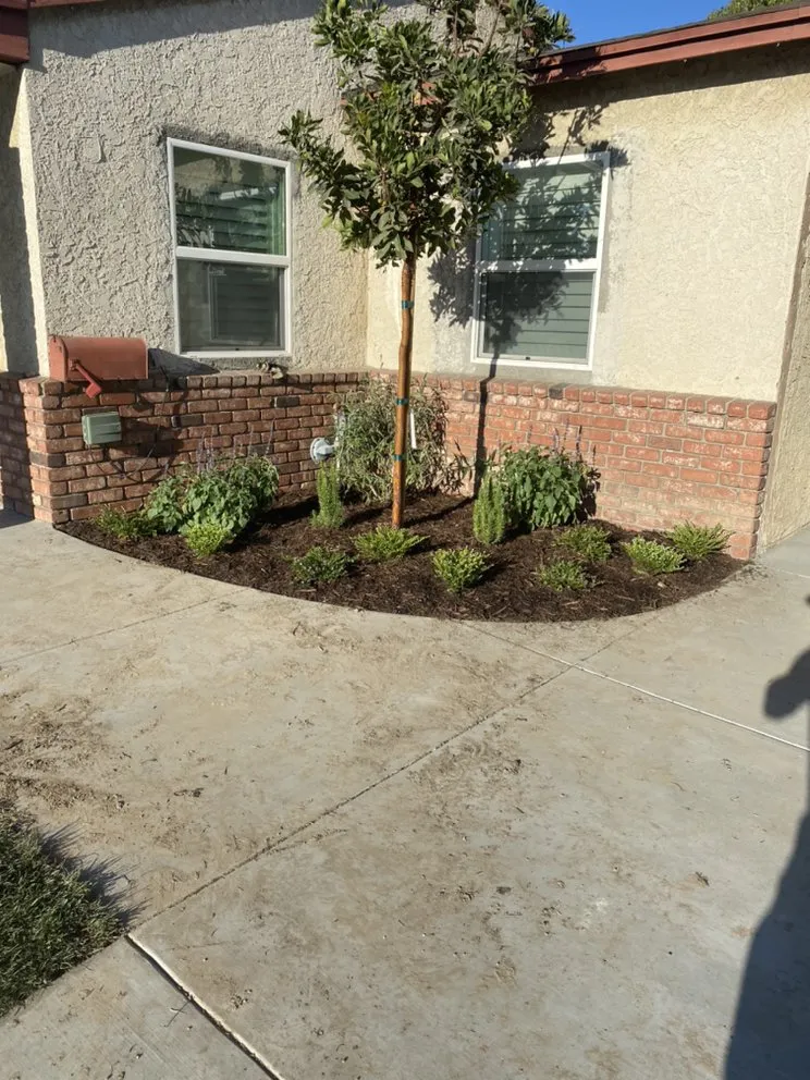 Top-rated landscaping services in Los Angeles, CA by JC Landscaping