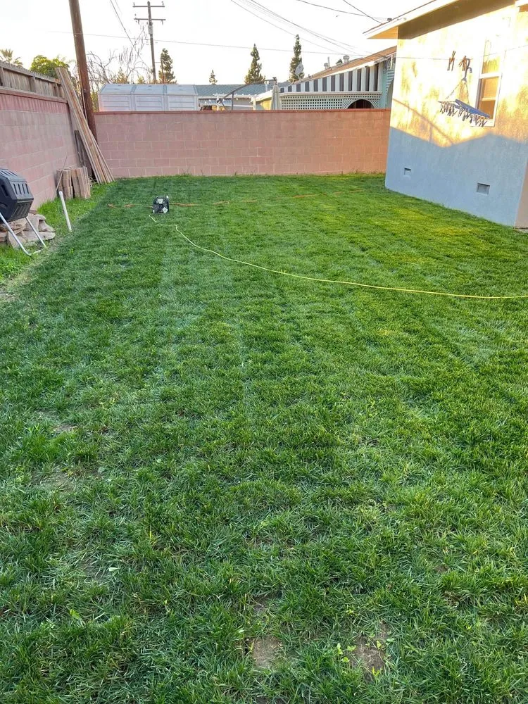 Custom garden landscaping for outdoor upgrades in Los Angeles, CA by JC Landscaping