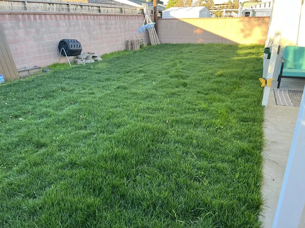 Reliable garden landscaping in Los Angeles, CA by JC Landscaping