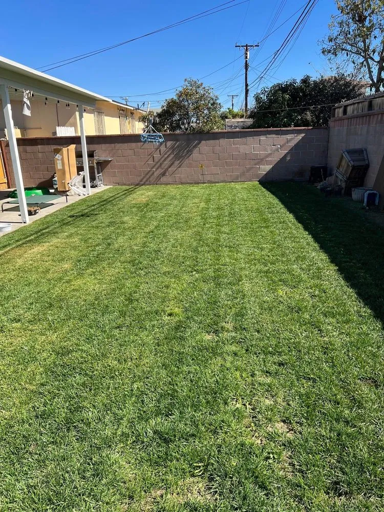 Reliable outdoor landscaping for homes across Los Angeles, CA - JC Landscaping