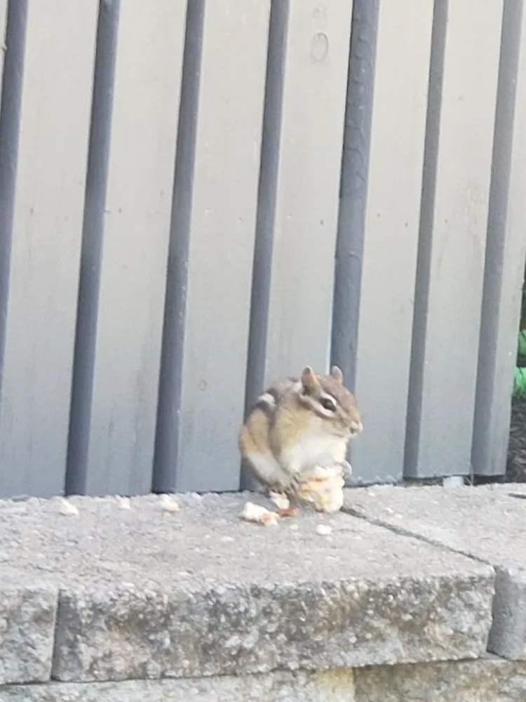 Expert garden landscaping for beautiful yards across Lynn, MA - Jc Landscaping