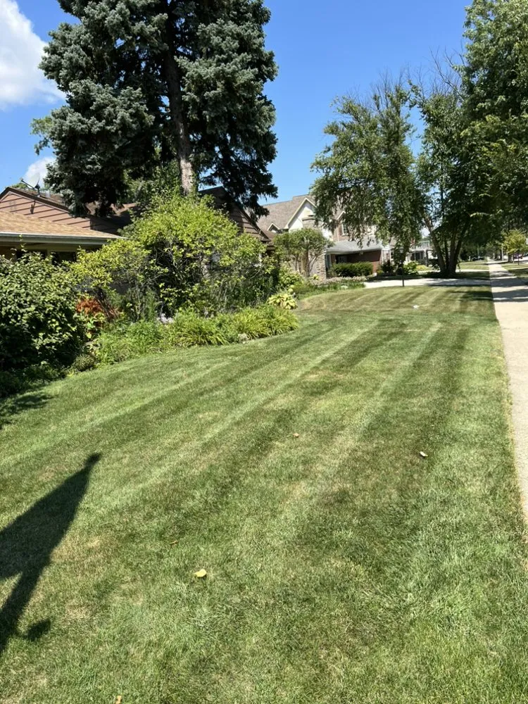 Trusted outdoor landscaping for beautiful yards in Park Ridge, IL by JC Landscaping