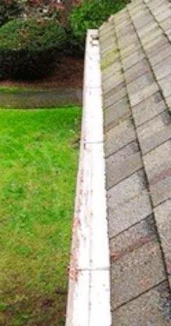 Expert yard maintenance for outdoor upgrades across Park Ridge, IL - JC Landscaping