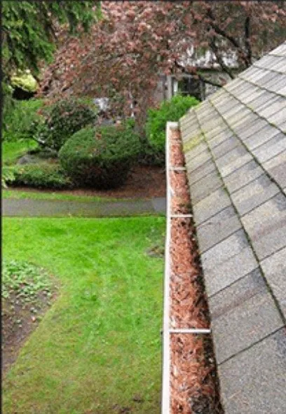 Expert landscaping services for outdoor upgrades in Park Ridge, IL by JC Landscaping