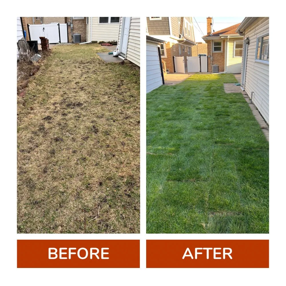 Top-rated yard maintenance with custom design in Park Ridge, IL by JC Landscaping