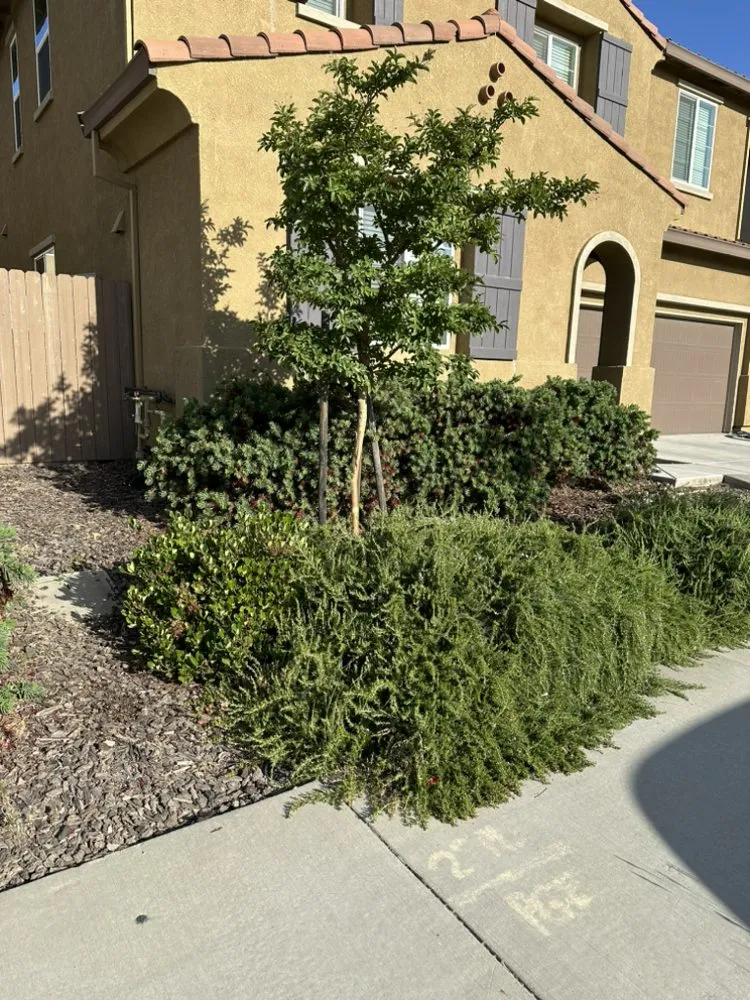 Affordable landscaping services for year-round maintenance across Sacramento, CA - Jc Landscaping