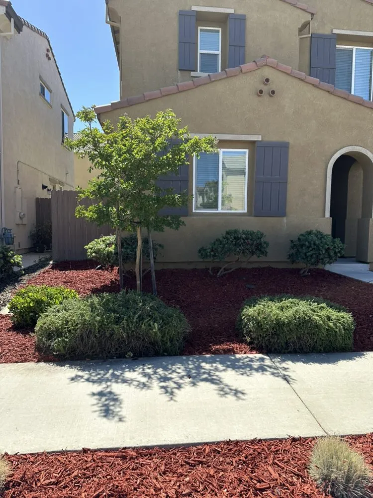 Reliable yard maintenance for residential properties in Sacramento, CA by Jc Landscaping