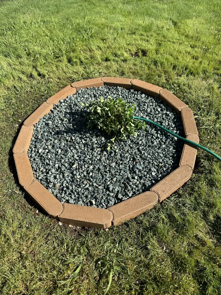 Local yard cleanup service in Sacramento, CA by Jc Landscaping