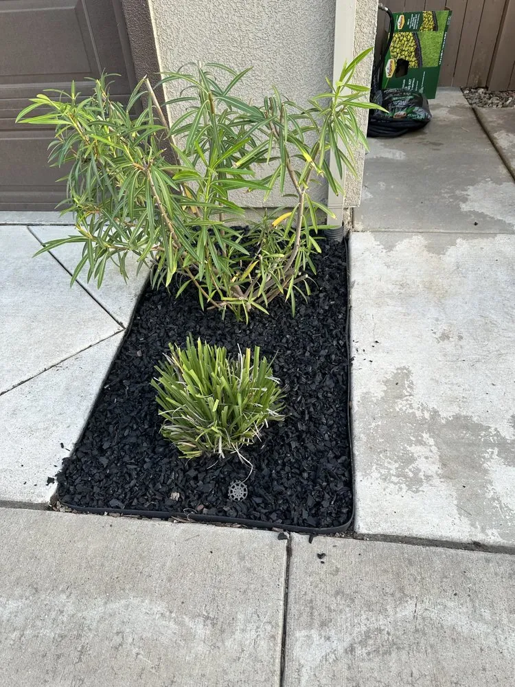 Trusted yard maintenance in Sacramento, CA - Jc Landscaping