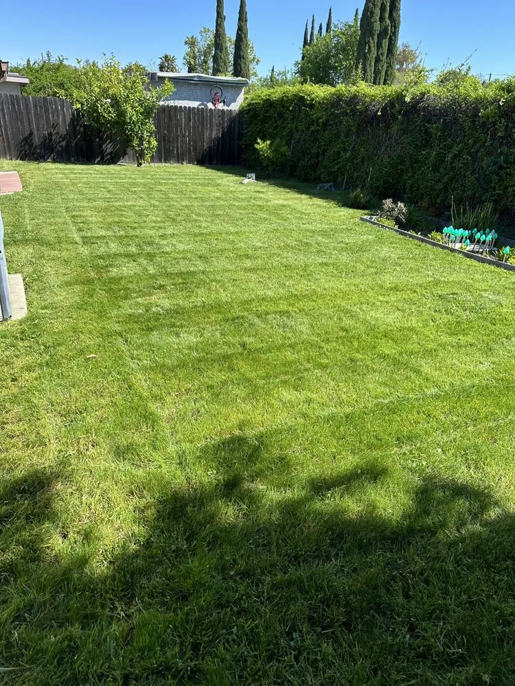 Professional lawn care service for residential properties in Sacramento, CA by Jc Landscaping