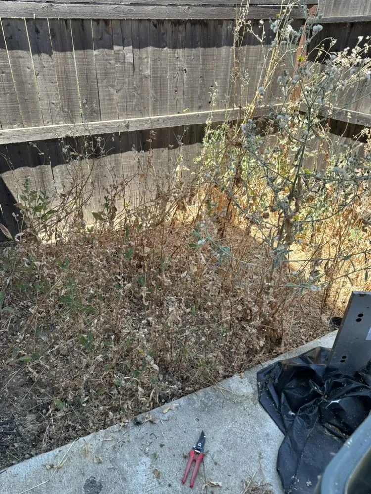 Reliable landscaping services experts serving Sacramento, CA - Jc Landscaping