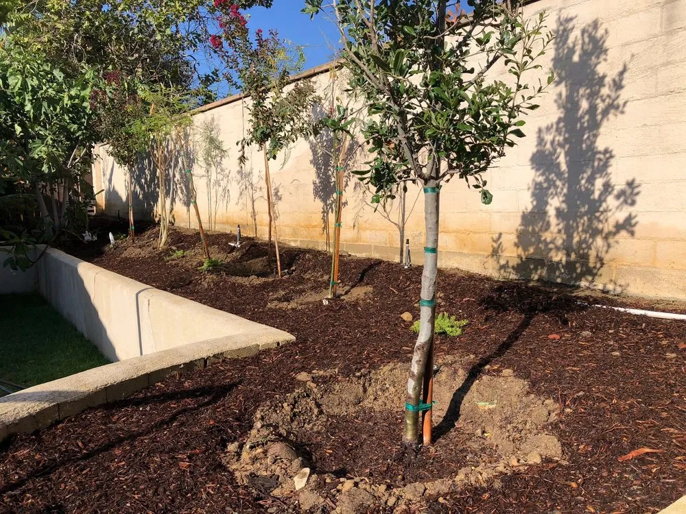 Custom lawn care service with custom design across Placentia, CA - JC Landscaping Services