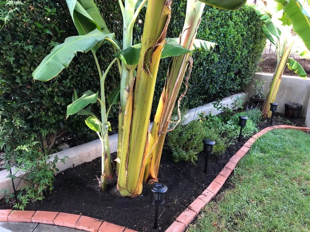 Custom garden landscaping for beautiful yards in Placentia, CA by JC Landscaping Services