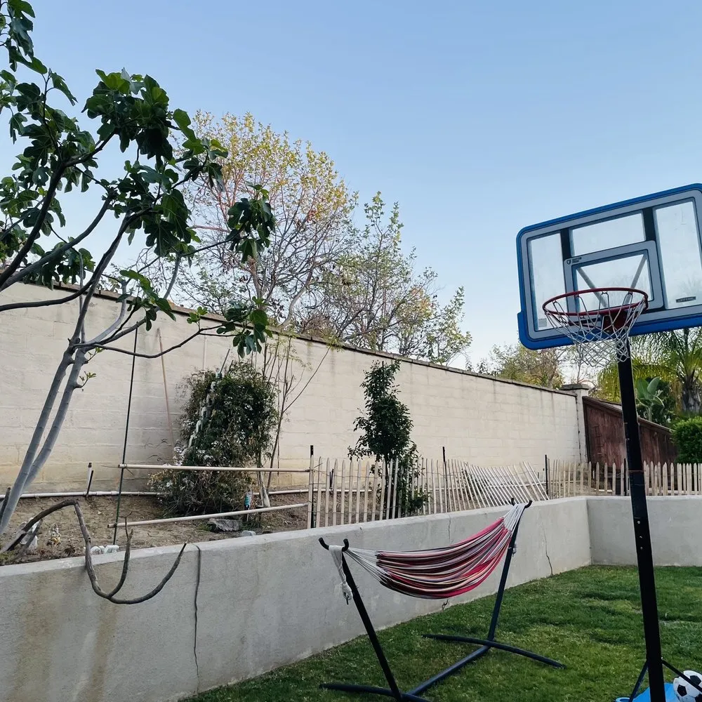 Professional landscaping services in Placentia, CA - JC Landscaping Services