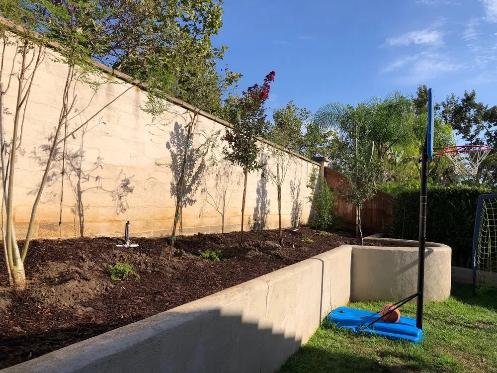 Trusted lawn mowing service in Placentia, CA by JC Landscaping Services