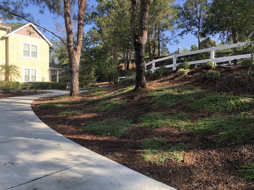 Expert outdoor landscaping with custom design across Placentia, CA - JC Landscaping Services