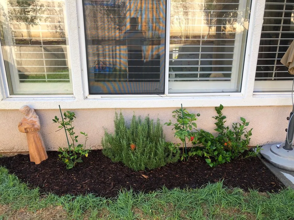 Local lawn care service experts serving Placentia, CA - JC Landscaping Services