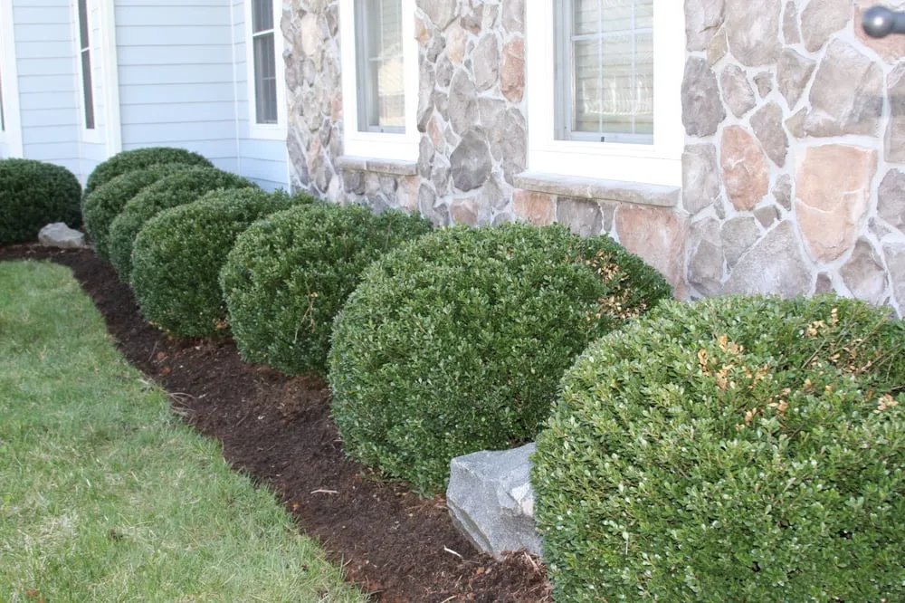 Affordable lawn mowing service experts serving Sterling, VA - JC Landscaping