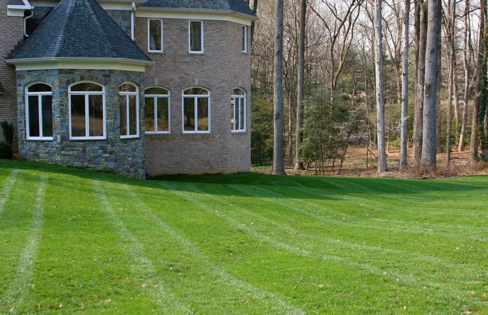 Affordable lawn mowing service experts serving Sterling, VA - JC Landscaping