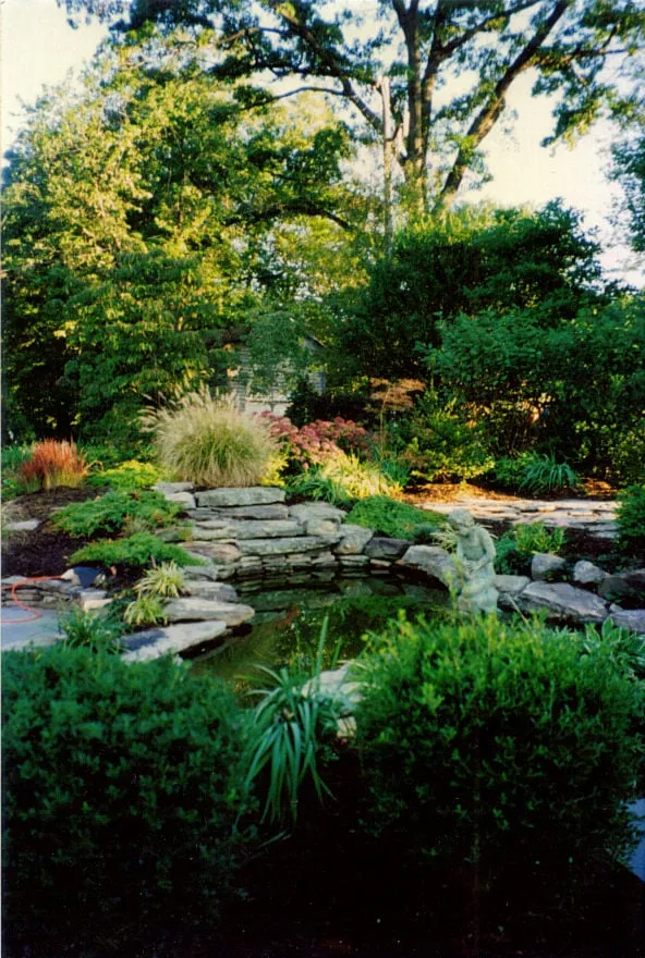 Trusted yard maintenance experts serving Sterling, VA - JC Landscaping
