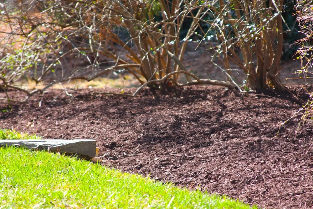 Trusted landscaping services in Sterling, VA - JC Landscaping