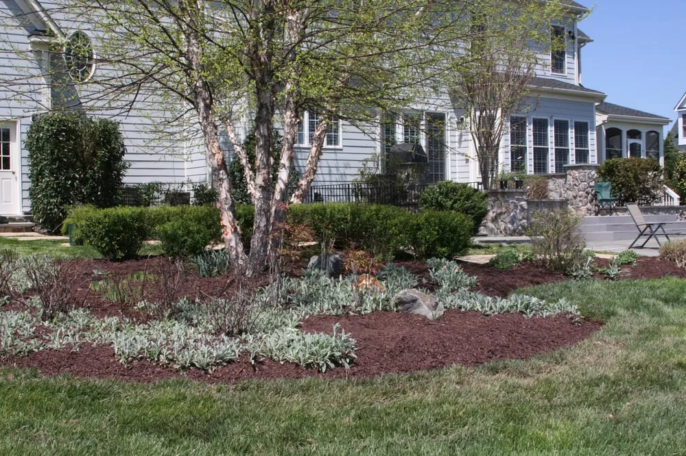 Professional yard maintenance in Sterling, VA by JC Landscaping