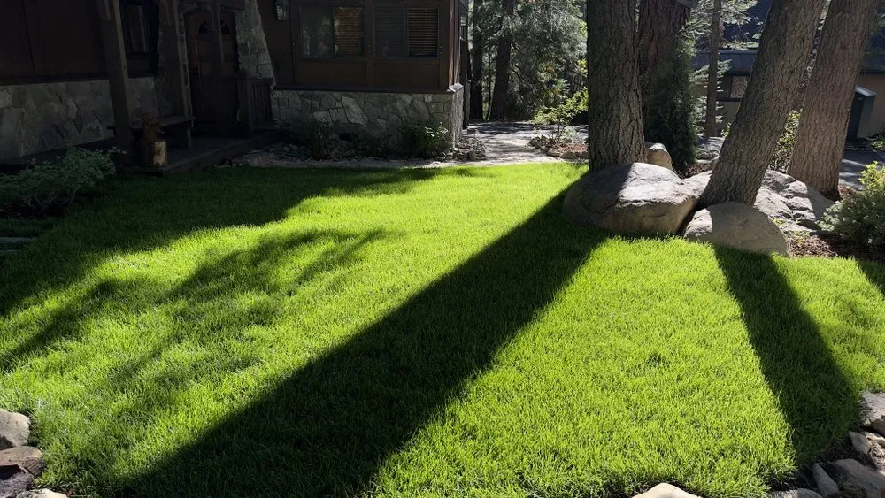 Local landscape installation in Truckee, CA by JC Landscaping