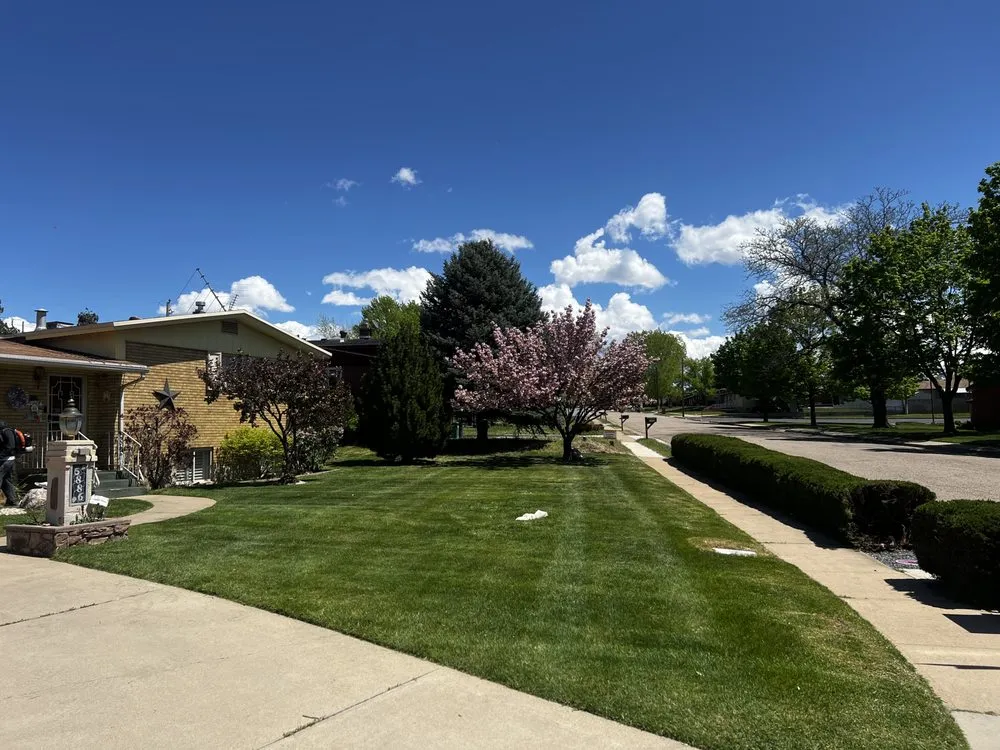 Reliable lawn mowing service for residential properties in West Haven, UT by JC Landscaping