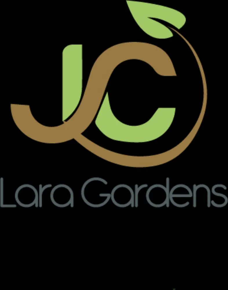 Affordable yard cleanup service experts serving Inglewood, CA - JC Lara Gardens