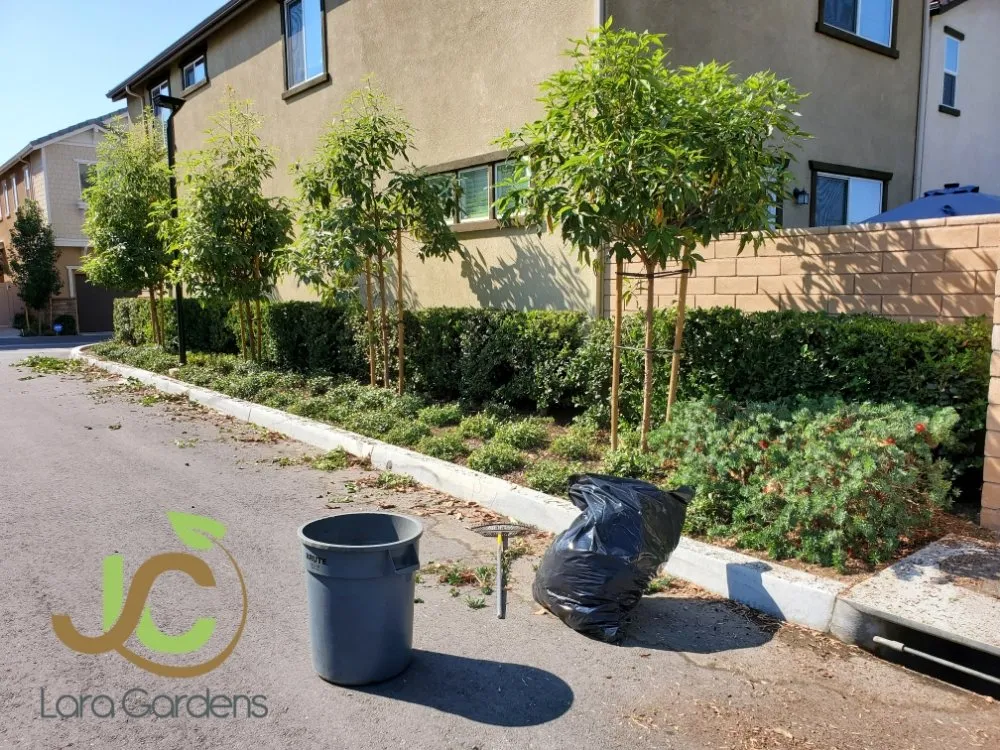 Affordable lawn care service in Inglewood, CA - JC Lara Gardens