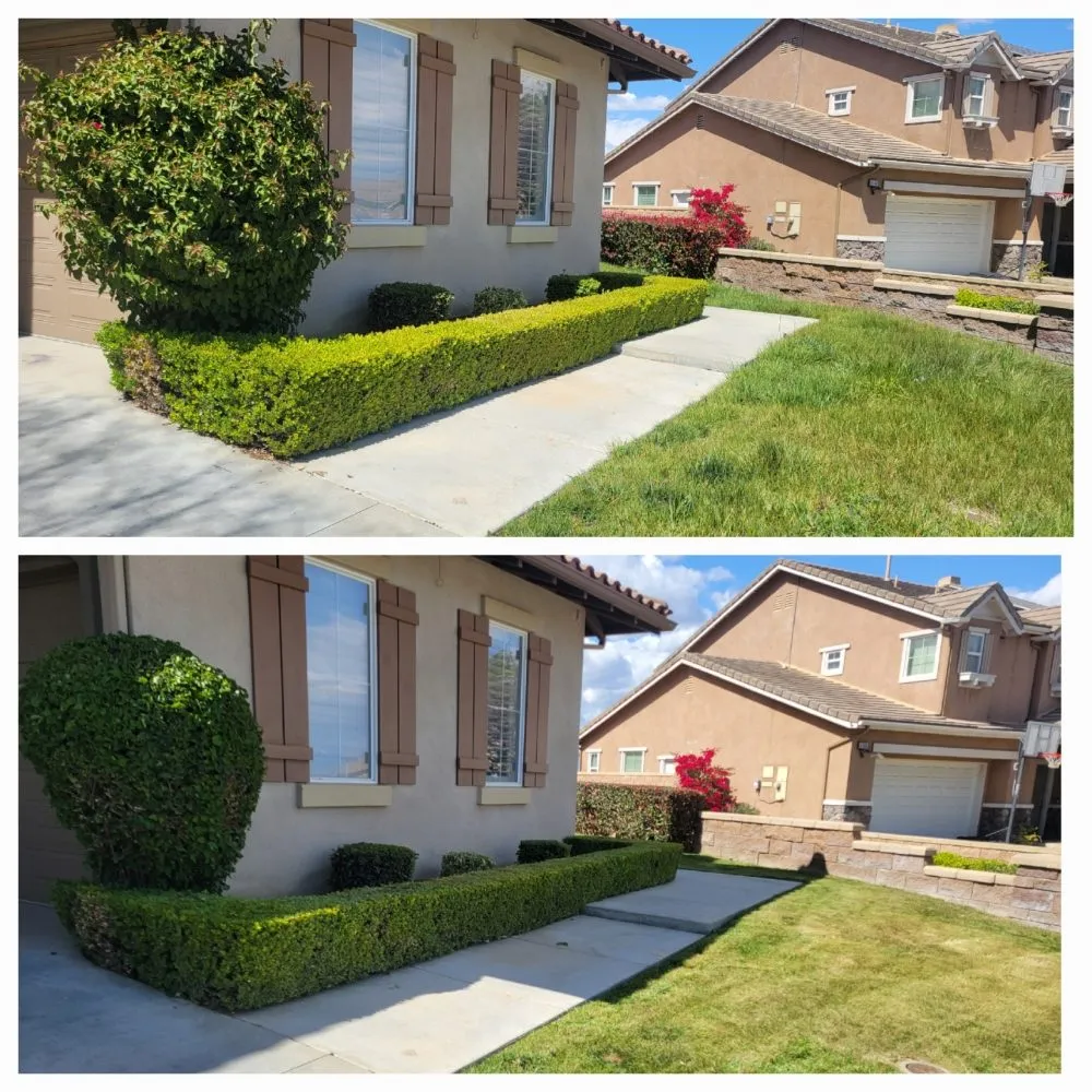 Trusted landscaping services for year-round maintenance across Pomona, CA - JC Lawn & Garden