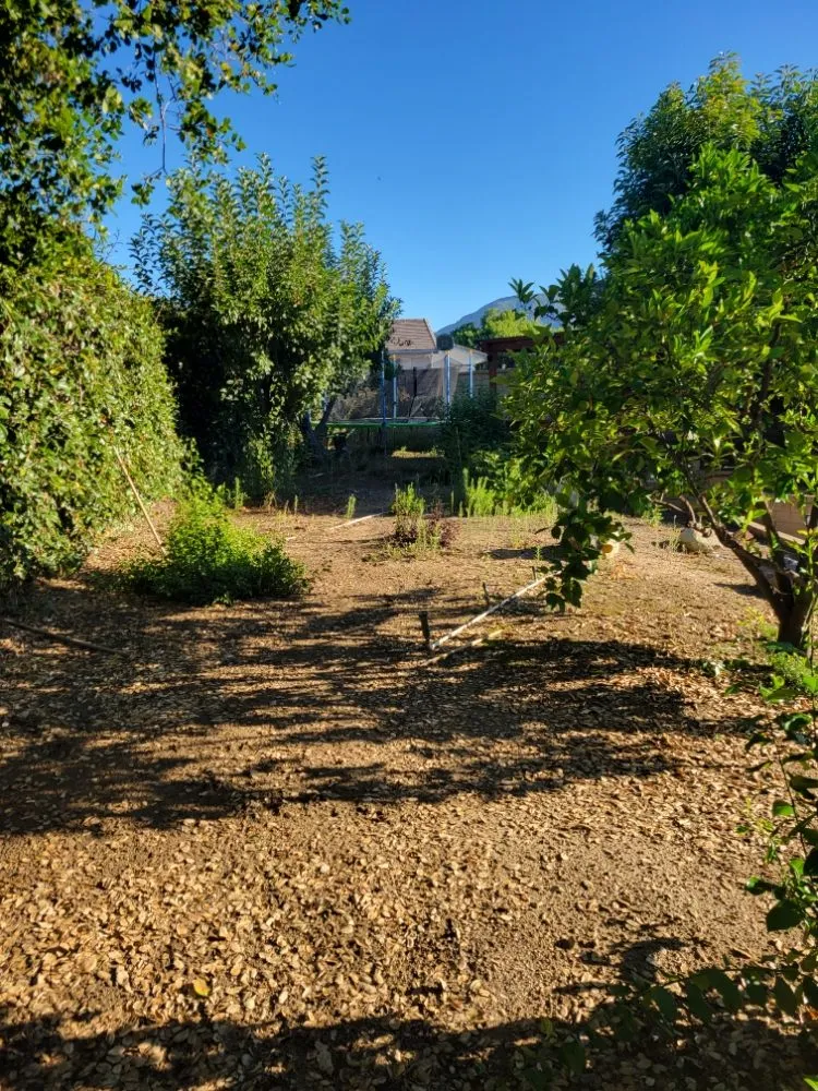 Reliable lawn mowing service near you in Pomona, CA by JC Lawn & Garden