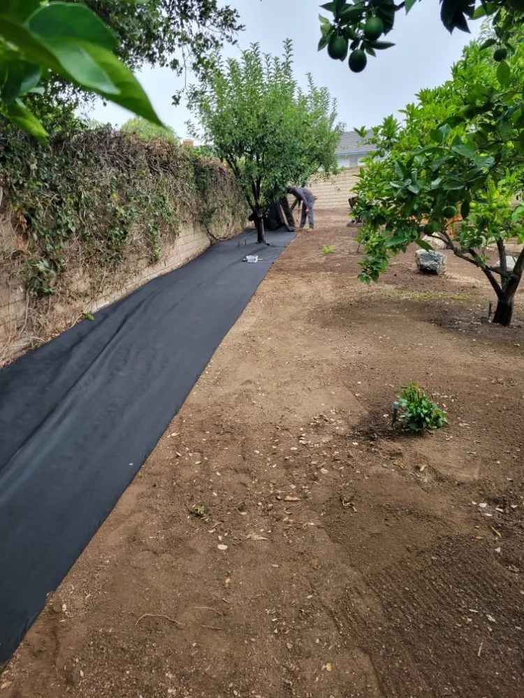 Affordable landscaping services experts serving Pomona, CA - JC Lawn & Garden