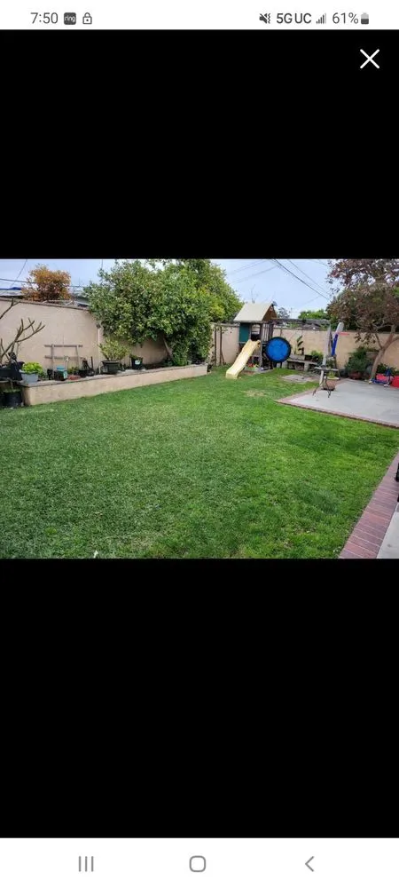Local yard cleanup service in Pomona, CA by JC Lawn & Garden