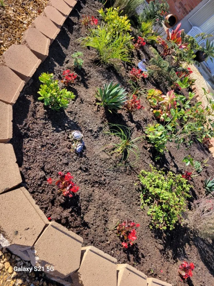 Local outdoor landscaping near you in Pomona, CA by JC Lawn & Garden