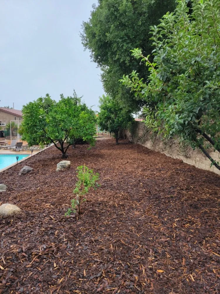 Trusted garden landscaping in Pomona, CA - JC Lawn & Garden