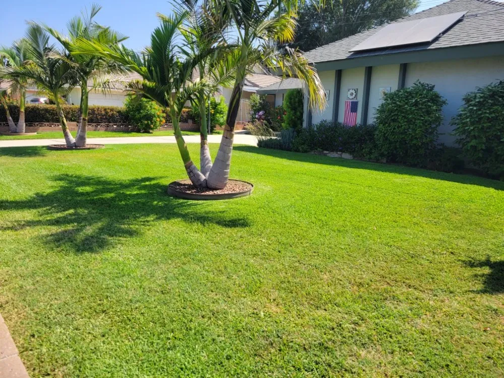 Reliable lawn care service in Pomona, CA by JC Lawn & Garden