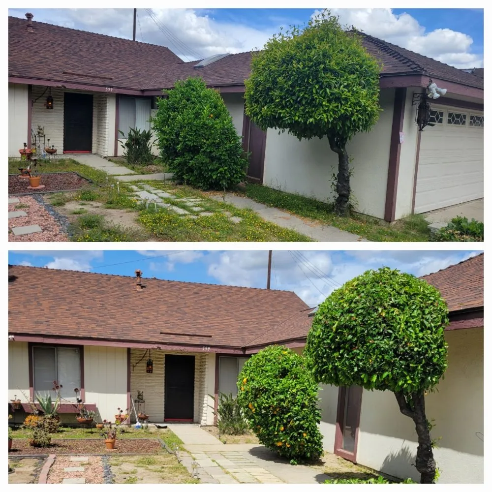 Trusted outdoor landscaping for beautiful yards in Pomona, CA by JC Lawn & Garden