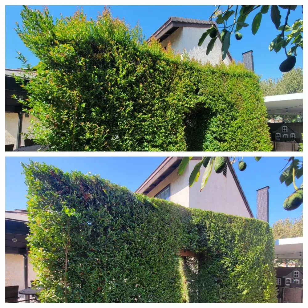 Affordable garden landscaping in Pomona, CA by JC Lawn & Garden